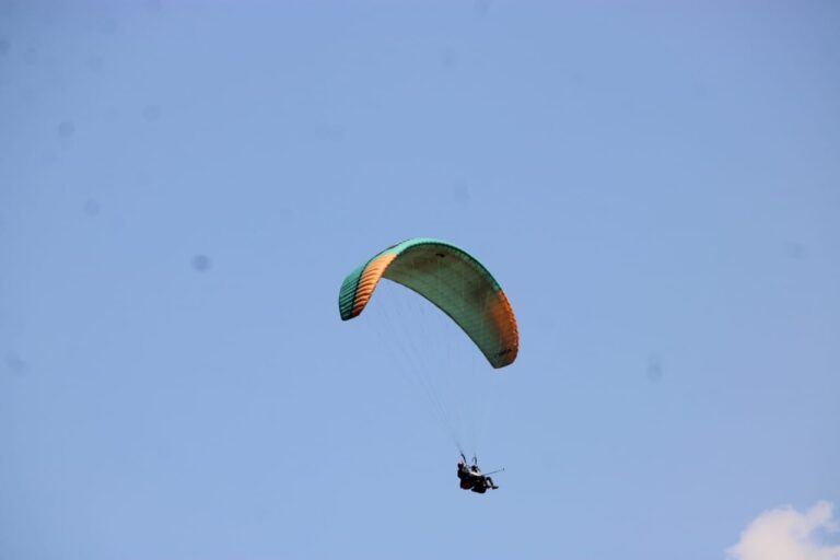 whatsapp image 2026 03 13 at 2.46.41 pm (1)