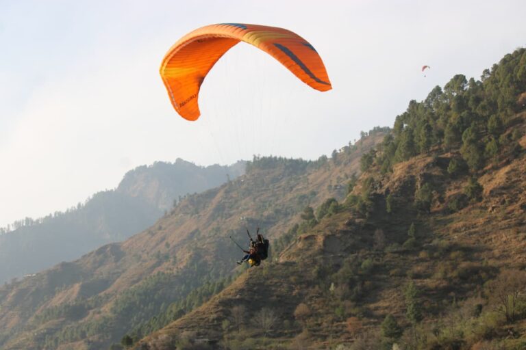 whatsapp image 2026 03 13 at 2.46.44 pm (1)