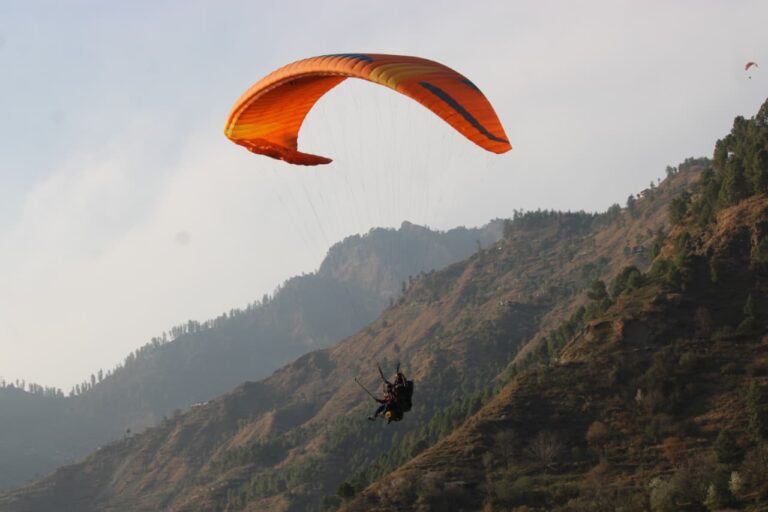 whatsapp image 2026 03 13 at 2.46.45 pm (2)