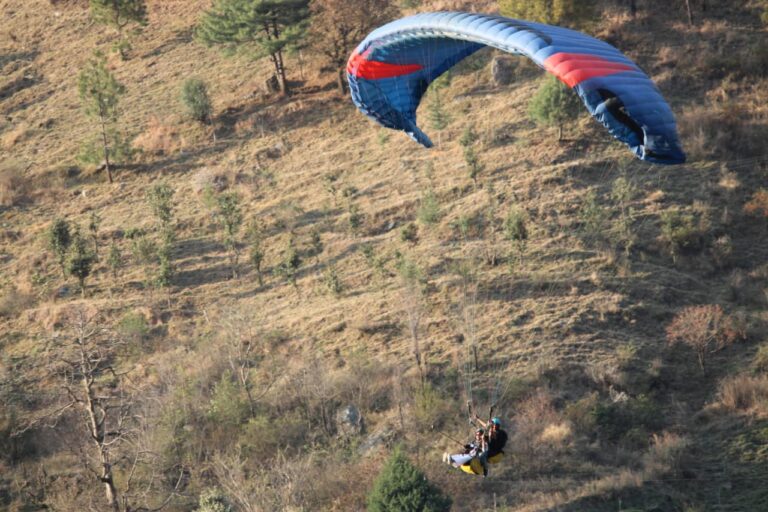 whatsapp image 2026 03 13 at 2.46.45 pm