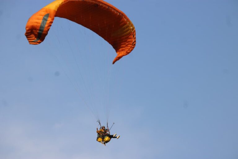 whatsapp image 2026 03 13 at 2.46.46 pm (1)