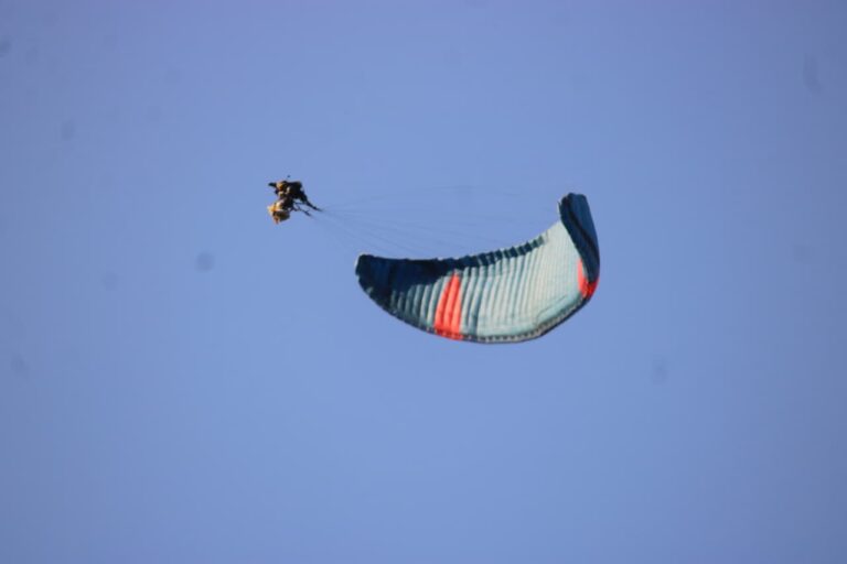 whatsapp image 2026 03 13 at 2.46.47 pm